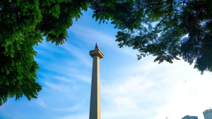 Monas Through Trees