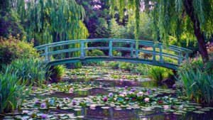 Monet's Japanese Bridge