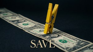 Money Saver Clothespin