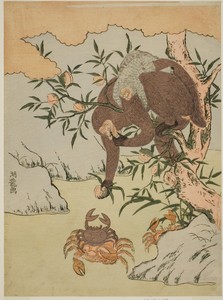 Monkey playing with crabs