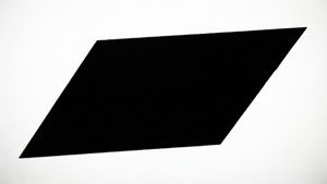 Monochrome Bold