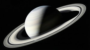 Monochrome Dramatic Rings