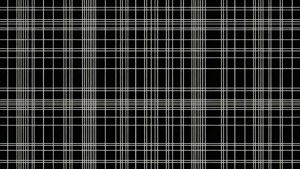 Monochrome Grid Lines