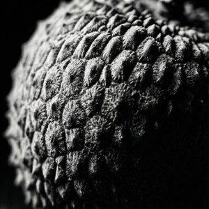 Monochrome Litchi Texture
