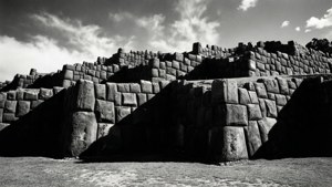 Monochrome Majesty