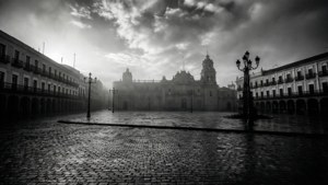 Monochrome Morning