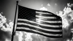 Monochrome Patriot