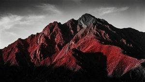 Monochrome Red