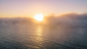 Monterey Bay Mist