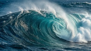 Monterey Wave