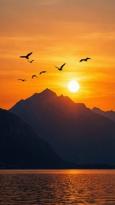 Montreux Sunset Graphic