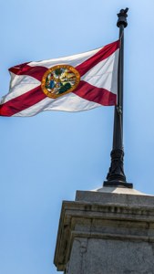 Monument and Flag