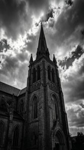 Moody Basilica Noir