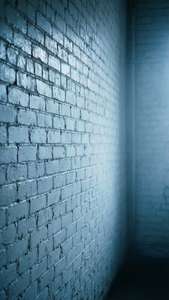 Moody Blue White Brick