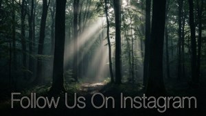 Moody Forest Instagram