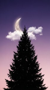 Moon and Clouds Tree