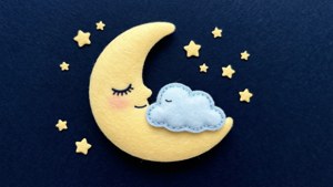 Moon Dreamer