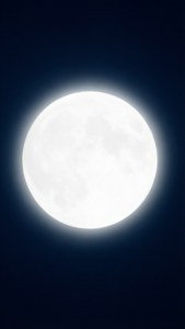 Moon Glow Navy Minimal