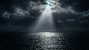 Moonbeam Path