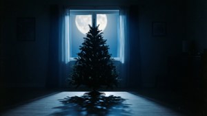 Moonlight Window Silhouette