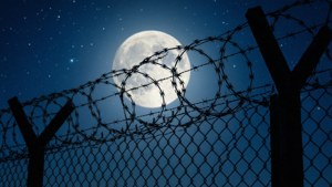 Moonlit Barbed Wire