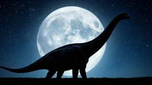 Moonlit Dinosaur Silhouette