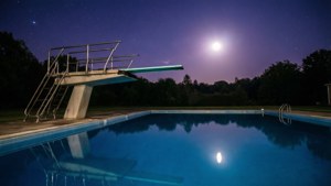 Moonlit Dive