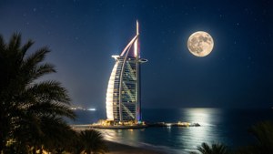 Moonlit Elegance