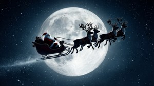 Moonlit Flight