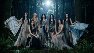 Moonlit Forest Fairytale