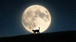 Moonlit Hill