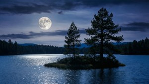 Moonlit Lake Island