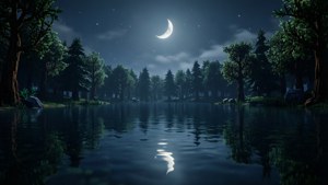 Moonlit Lake Still