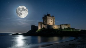 Moonlit Majesty