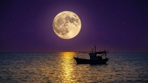 Moonlit Ocean Calm