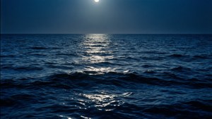 Moonlit Ocean Serenity