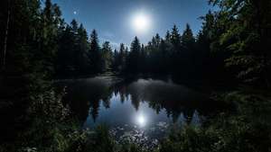 Moonlit Pond Clearing