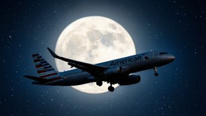 Moonlit Silhouette