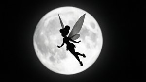 Moonlit Silhouette