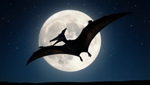 Moonlit Silhouette