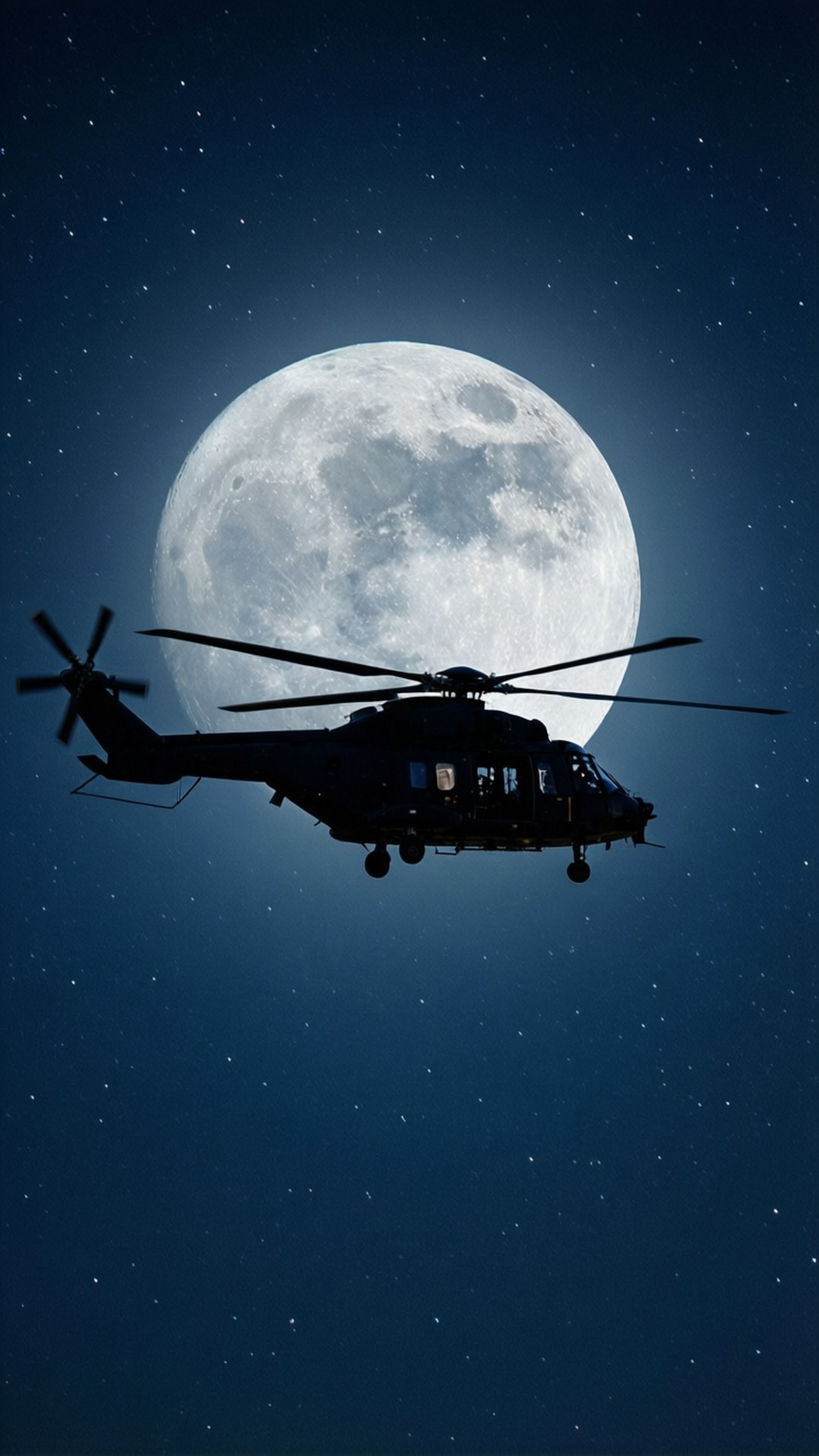Moonlit Silhouette by Wallpapers.art Studio