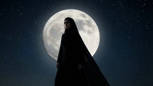 Moonlit Silhouette