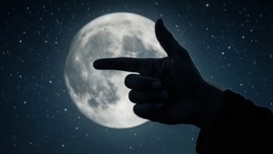 Moonlit Silhouette Point