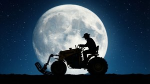 Moonlit Silhouettes