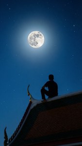 Moonlit Vigil