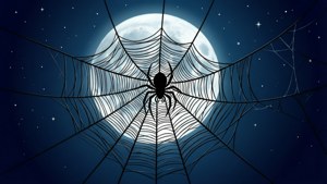 Moonlit Web Silhouette