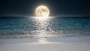 Moonlit White Beach
