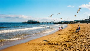 Morning at the Beach