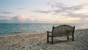 Morning Bench by the Sea