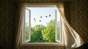 Morning Breeze Window